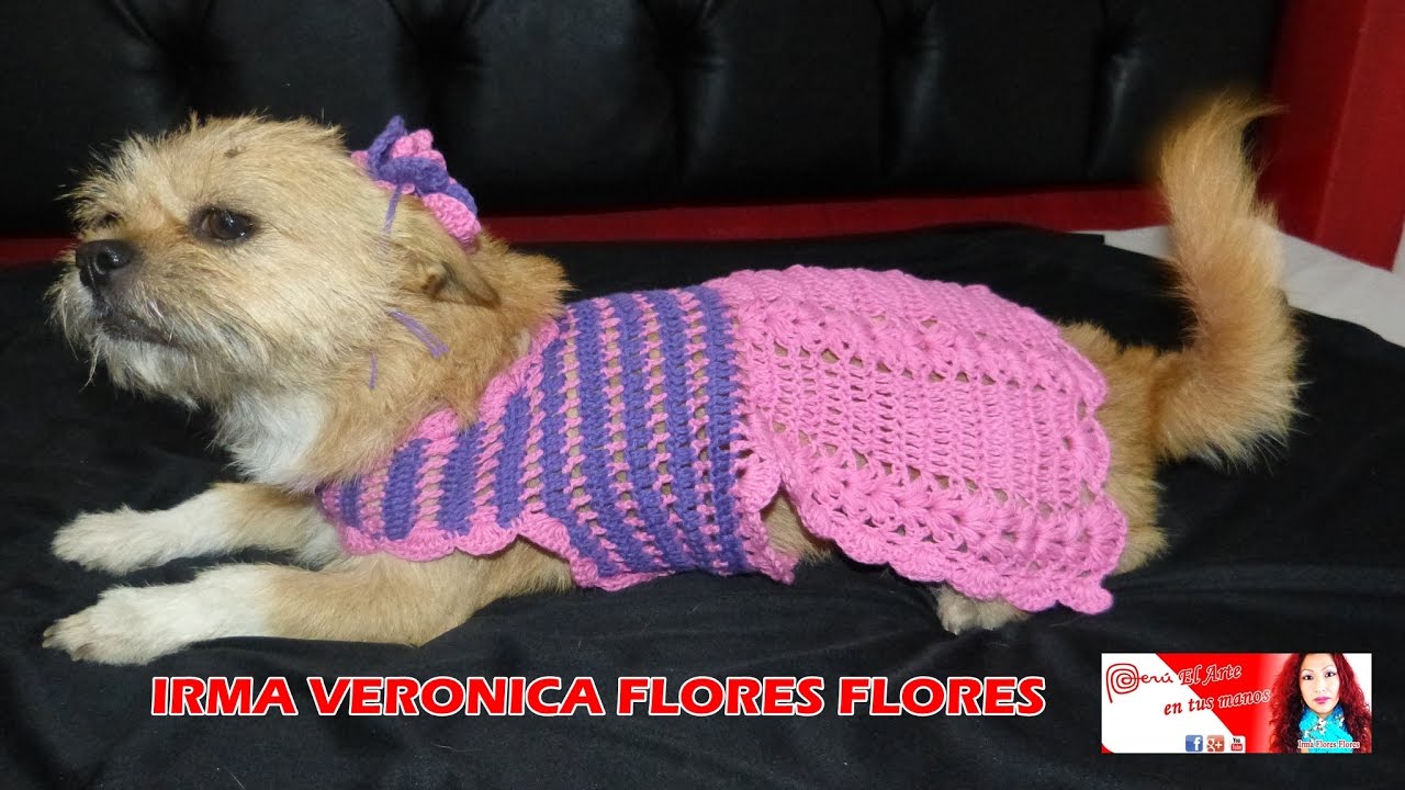 Vestido crochet mascota